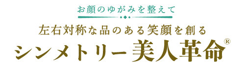 シンメトリー美人大辞典型ブログ大辞典